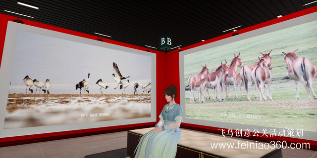 北京直播公司|網易瑤臺切入數(shù)字藝術展，線上看展會成為長期趨勢嗎？